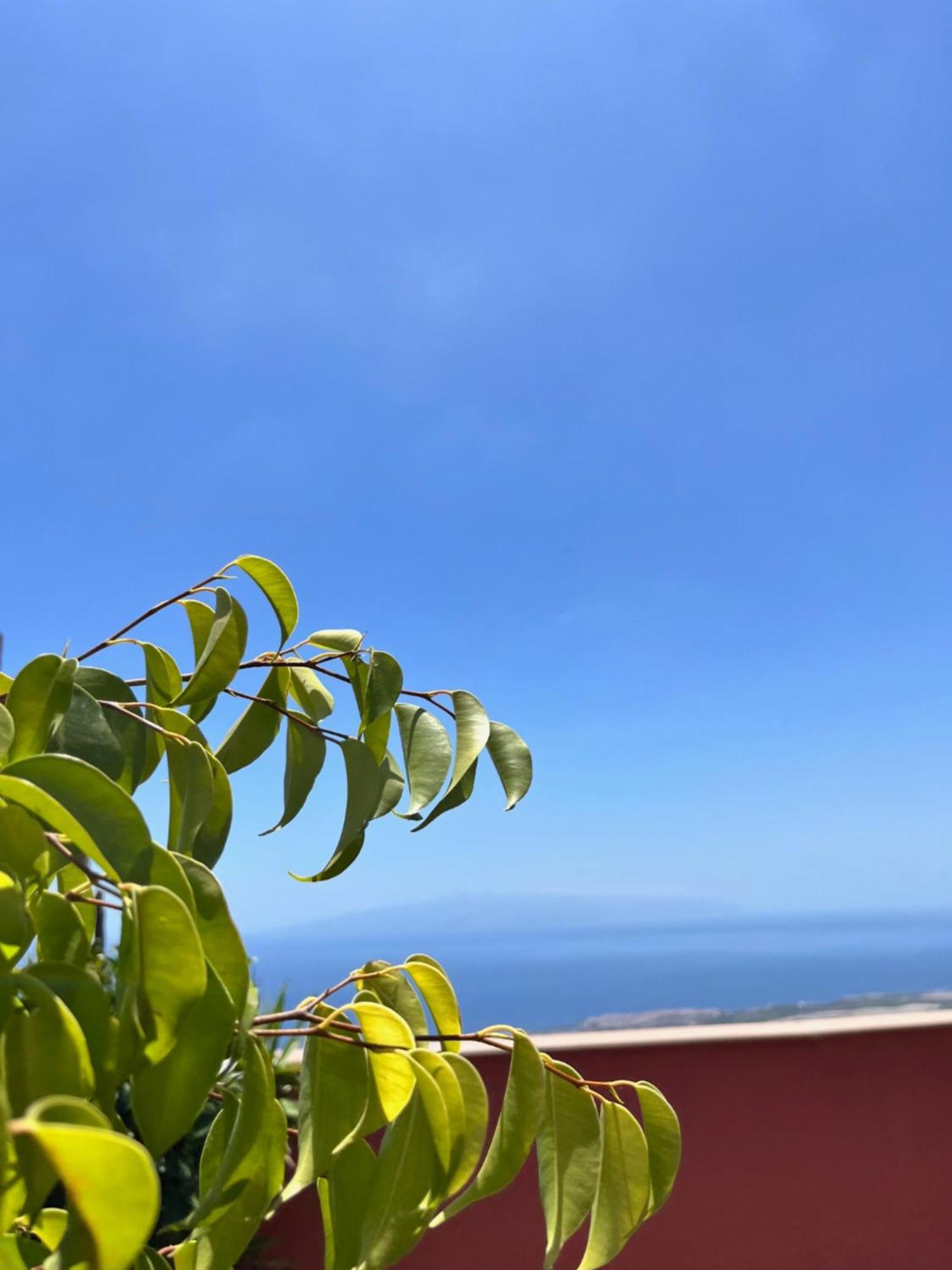 Narancsvirag Apartment Tejina de Isora Bagian luar foto